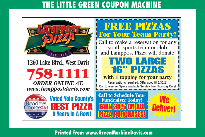 Lamppost Pizza Coupon